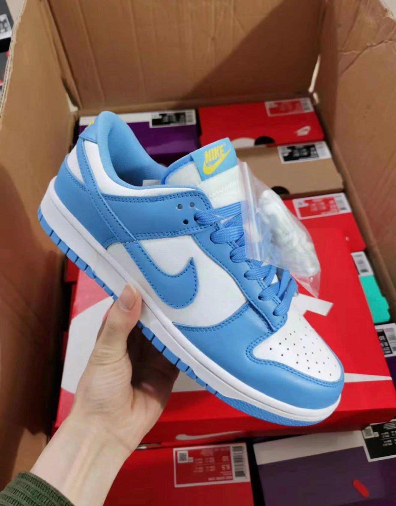 Dunks Trainers-Blue
